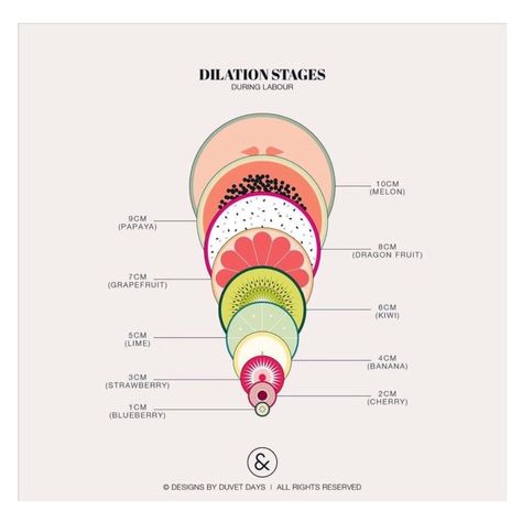 Dilation Chart, Labor Symptoms, Cervical Dilation, Contractions Labor, Active Labor, Birth Preparation, Stages Of Labor, Relaxation Exercises, Light Activities