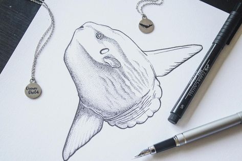 Kohola Kai Creative 🌺 Tracie on Instagram: “Largest of the bony fishes- the Mola Mola! They are also known as Ocean Sunfish. Fish often get brushed off as “boring” are not regarded…” Sunfish Drawing, Sunfish Tattoo, Ocean Sunfish, Underwater Drawing, Mola Mola, Father Tattoos, Fish Drawings, Sketchbook Art, Fish Art