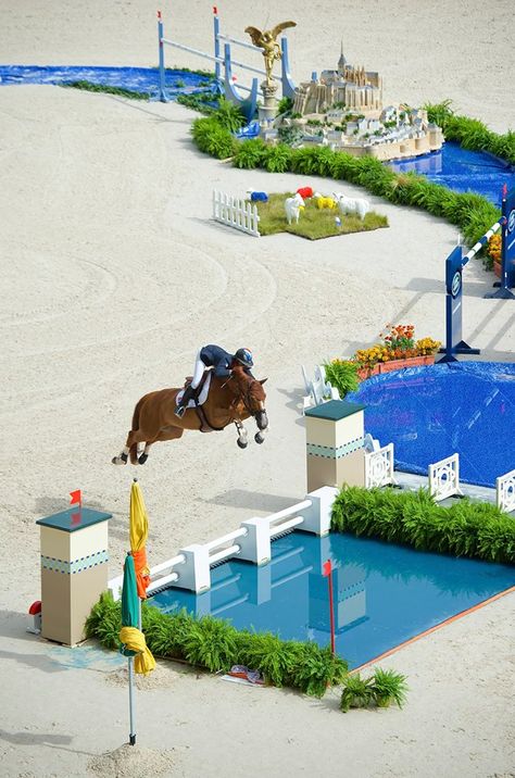 Water jumps Equestrian Jumping, Show Jumping Horses, Eventing Horses, Equestrian Fashion, Horse And Rider, Horse Aesthetic, Hunter Jumper, All The Pretty Horses, Horse Blankets