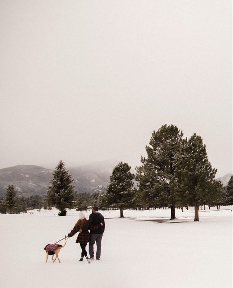 Christmas Pictures Couples And Dog, Winter Couple Pictures With Dog, Winter Dog Photoshoot, Christmas Family Photos With Dogs, Winter Engagement Photos With Dog, Photoshoot With Dog, Winter Couple Pictures, Mountain Engagement Shoot, Winter Family Photoshoot