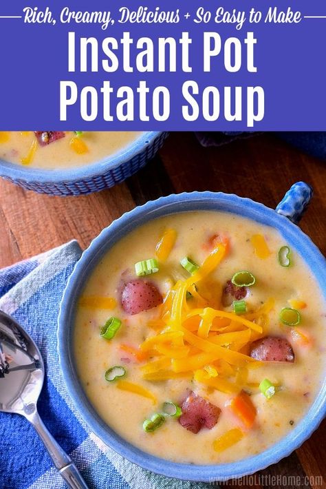 Easy Instant Pot Potato Soup, Vegetarian Potato Soup, Instant Pot Red Potatoes, Instant Pot Potato Soup, Potatoes And Veggies, Vegetarian Stew, Soup Instant Pot, Vegetarian Instant Pot, Creamy Potato Soup