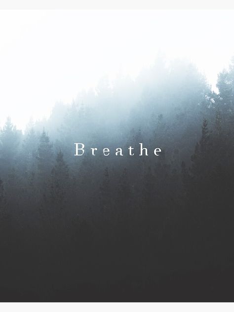 "Breathe, Forest Trees With Fog " Poster by ind3finite | Redbubble Forest Quotes Nature, Foggy Aesthetic, Forest Quotes, Fog Art, Text Aesthetic, Quotes Nature, Nature Wall Decor, Foggy Forest, Forest Trees