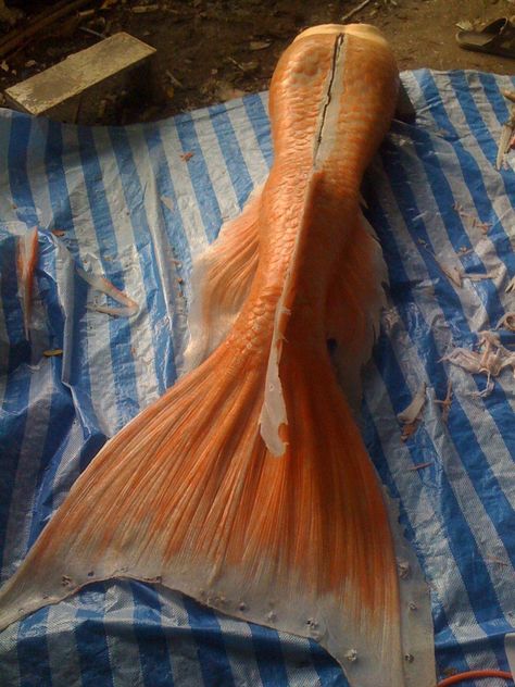 Orange Mermaid Tail, Mermaid Tail Aesthetic, Merman Tails, Realistic Mermaid Tails, Orange Mermaid, Mermaid Costume Diy, Mermaid Ideas, Realistic Mermaid, Aqua Mermaid