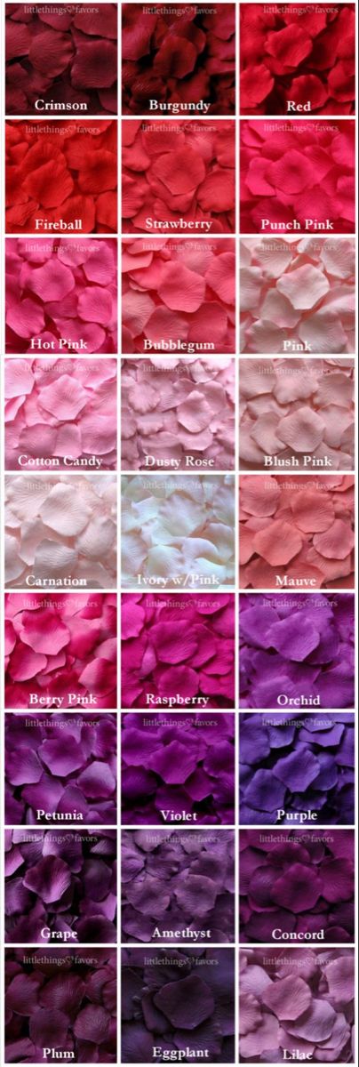 Fake Rose Petals, Color Knowledge, Bahasa Jepun, Silk Rose Petals, Color Mixing Chart, Color Combinations For Clothes, Seni Dan Kraf, Wedding Garden, Silk Rose