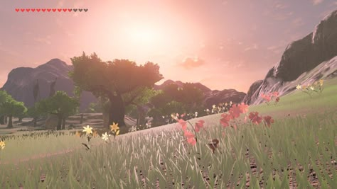 Botw Aesthetic Screenshots, Zelda Botw Screenshots Landscape, Botw Scenery Screenshots, Coquette Poster Wall, Botw Landscapes, Zelda Scenery, Breath Of The Wild Wallpaper, Tree Stumps Diy, Botw Art