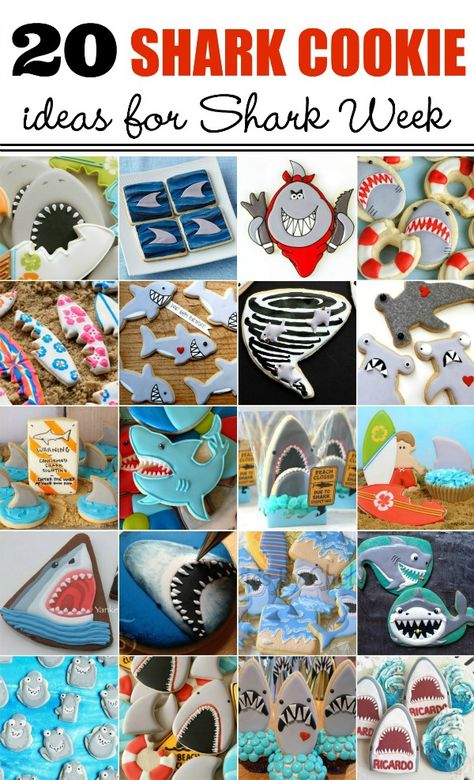 Twenty fun and frightening (not really) shark cookie ideas for Shark Week via Sweetsugarbelle.com Sugarbelle Cookies, Sea Cookies, Basic Sugar Cookie Recipe, Shark Week Party, Mermaid Cookies, Fish Cookies, Beach Cookies, Sweet Sugarbelle, Shark Cookies