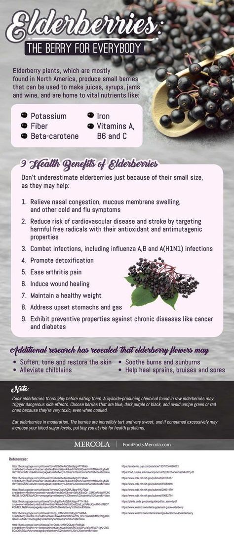 Garden Pantry, Elderflower Recipes, Elderberry Benefits, Elderberry Plant, Elderberry Tea, Goat Milk Recipes, Elderberry Recipes, Herbal Tea Benefits, Herbal Remedies Recipes