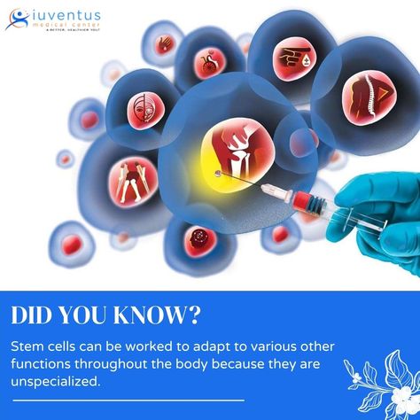 Stem cells are highly adaptable. This means that stem cells can be worked to adapt to various other functions throughout the body because they are unspecialized." #semaglutideinjection #weightloss #semaglutide #weightlossjourney #bestweightloss #iuventus What Is Stem, Doctor Of Chiropractic, Medicine Tips, Platelet Rich Plasma, Umbilical Cord, Stem Cell Therapy, Cell Therapy, Regenerative Medicine, Medical Tourism