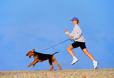 Truth About Cat People and Dog-People Personalities Woman Jogging, Running On The Beach, Dog Allergies, Workout Chart, Couple Picture Poses, Dog People, Pet Insurance, Dog Runs, Cat People