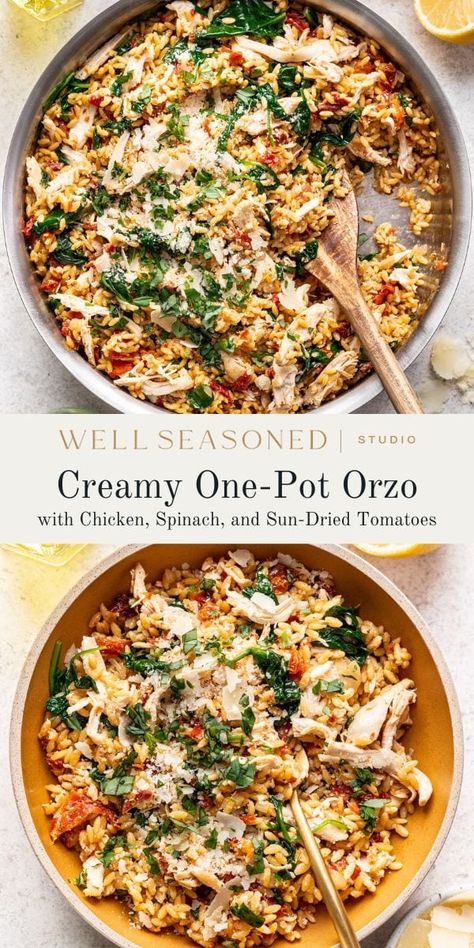 One Pot Creamy Orzo with Chicken & Sun-Dried Tomatoes Orzo Dinner Recipes, Orzo With Chicken, One Pot Orzo, Orzo Pasta Recipes, Sundried Tomato Chicken, Creamy Orzo, Orzo Recipes, Chicken Orzo, Small Pasta