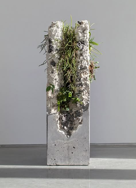 Terraforms 2014 on Behance Plant Installation, Plants Growing, Concrete Sculpture, Australian Plants, Concrete Planter, Concrete Crafts, Cement Crafts, Concrete Art, Deco Floral