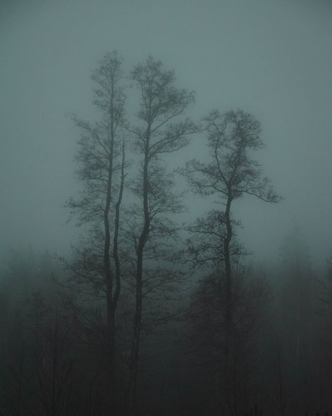 Nordic Forest, Nordic Aesthetic, Dark Gothic, Witch, Forest