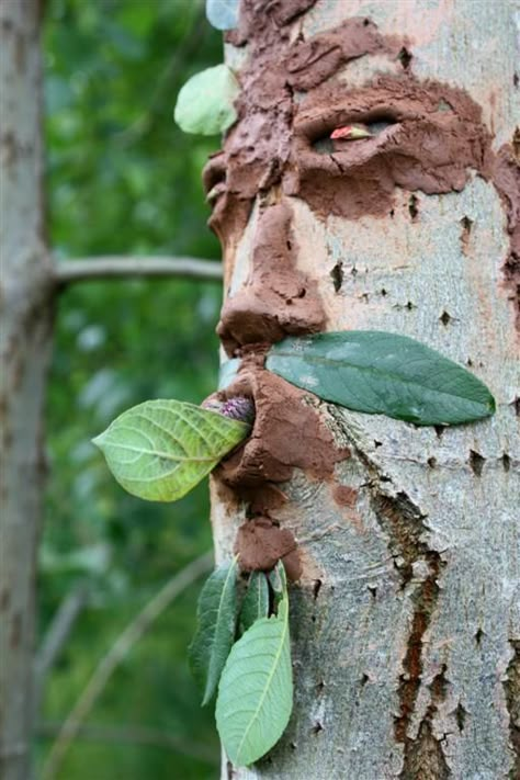 Use Mud to make faces on trees.    Gloucestershire Resource Centre http://www.grcltd.org/home-resource-centre/ Nature Sculpture Ideas, Landart Ideas, Nature Sculpture, Tree Spirits, Forest School Activities, Natural Play, Modelling Clay, Nature School, Tree Faces