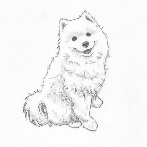 Samoyed Drawing, Dog Sketch Easy, Dog Sketches, Inktober 2023, Stick Drawings, Pencil Drawings Of Animals, Samoyed Dogs, Dog Sketch, 강아지 그림