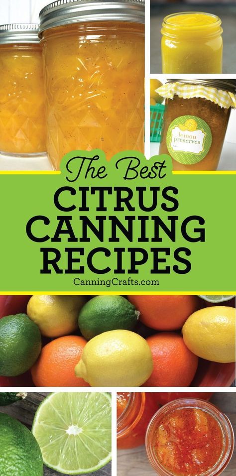 The very best Citrus Canning Recipes for jam, jelly, marmalade, cured, & more! Browse our collection of no-pectin and low sugar recipes on CanningCrafts.com | #canning #foodpreservation #homecanning #citrus #marmalade #orangemarmalade #recipe #canningrecipe #lemon #lime #orange Canning Citrus, Lime Curd Recipe, Preserve Recipes, Fermenting Recipes, Preserving Recipes, Canning Jar Labels, Pressure Canning Recipes, Preserving Foods, Canning Ideas