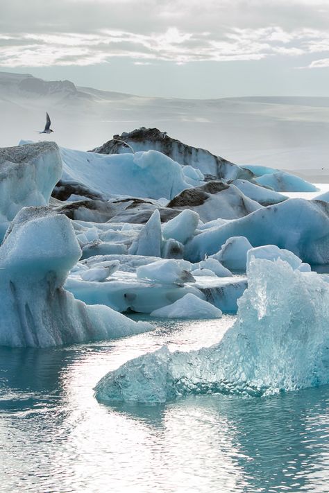 Jökulsárlón Glacier Lagoon Iceland OC [600x900] Jökulsárlón Glacier Lagoon, Glacier Lagoon Iceland, Jokulsarlon Glacier Lagoon, Jokulsarlon Iceland, Iceland Snow, Soneva Jani, Iceland Glacier, Lagoon Iceland, Iceland Winter