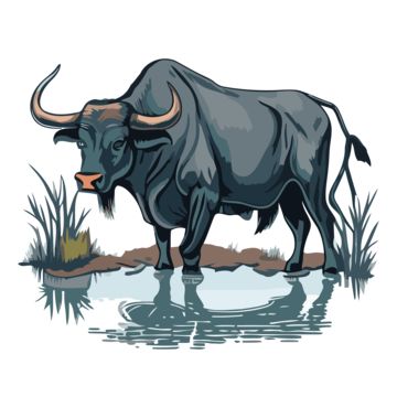 sticker clipart an animal illustration of a bull in a pond cartoon,sticker,clipart,cartoon Carabao Clipart, Pond Cartoon, Buffalo Vector, Buffalo Clipart, Buffalo Cartoon, Sticker Clipart, A Bull, Background Images Wallpapers, Water Buffalo