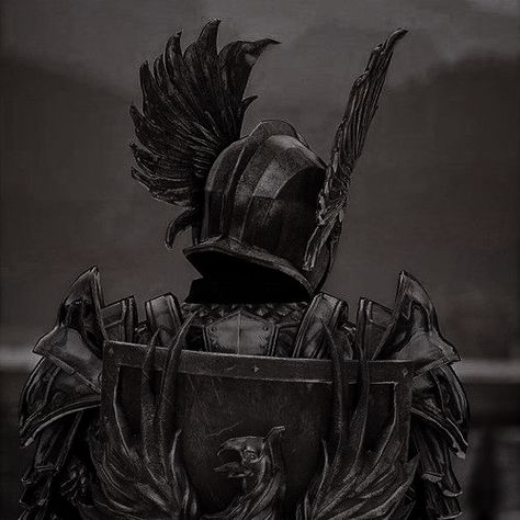 Dark Warrior Aesthetic Men, Knight Pfp Medieval, Dark Fantasy Knight Art, Medieval Knight Aesthetic, Aesthetic Knight, Dark Knight Aesthetic, Paladin Aesthetic, Dark Fantasy Knight, Hero Of Ferelden