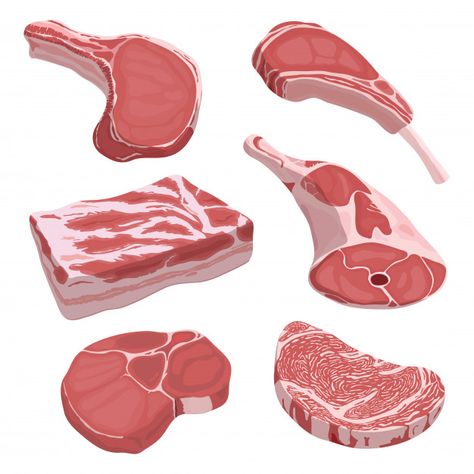 Discover thousands of Premium vectors available in AI and EPS formats Meat Drawing, Raw Slice, Meat Art, Pork Steaks, Raw Pork, Cartoon Food, Studying Food, Premium Meat, Raw Meat