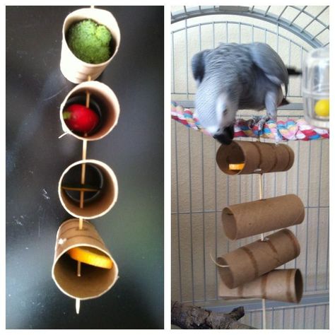 Bird Enrichment, Parrot Ideas, Homemade Bird Toys, Zoo Enrichment, Diy Parrot Toys, Diy Parrot, Cockatiel Toys, Bird Diy, Parakeet Toys