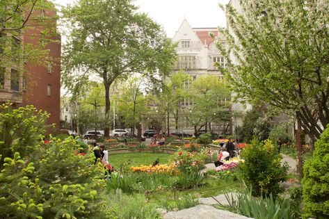 Discover NYC’s Most Beautiful Secret Gardens This Spring | Architectural Digest Greenwich Village Nyc, Nyc Spring, Book City, April Flowers, Secret Gardens, The Big Apple, Greenwich Village, Public Garden, Garden City