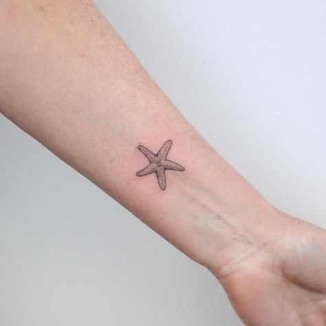 Star Fish Tattoos, Small Starfish Tattoo, Star Fish Tattoo, Star Tats, Sand Dollar Tattoo, Sister Tats, Small Beach Tattoos, Beachy Tattoos, Marine Tattoo