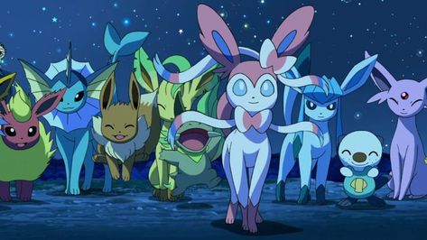 All Eeveelutions, Shiny Eevee, Shiny Wallpaper, Eeveelution Squad, Pokémon Eevee, Pokemon Human, All Anime Characters, Pokemon World, Pokemon Eeveelutions