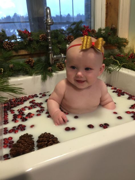 Christmas Milk Bath Baby, Baby Sink Bath, Baby Milk Bath, Milk Bath Photos, Baby Christmas Photography, Christmas Baby Pictures, Milk Bath Photography, Baby Christmas Photos, Bath Photography