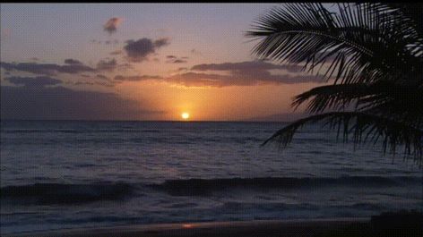 Beach Sunset Aesthetic Gif, Sea Banner Gif, Summer Banner Gif, Sunset Gif Banner, Beach Banner Gif, Ocean Aesthetic Gif, Ocean Banner Gif, Gif For Powerpoint, Colar Tiffany E Co