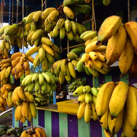 Fruit stand on Big Island Fruit And Veg Shop, Vegetable Shop, Tropical Food, Tropical Girl, Fruit Stand, Fruit Stands, Best Supplements, Fruit And Veg, Food Shop