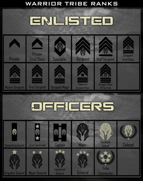 The Warrior Tribe Ranking System, Clearance levels, & Proficiency Badges Knight Ranks, Sci Fi Uniform, Army Ranks, One Note Microsoft, Military Ranks, Master Sergeant, Military Insignia, Staff Sergeant, Military Forces