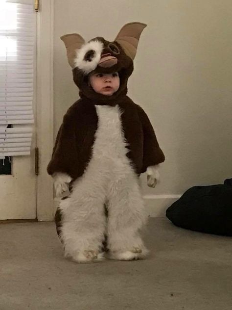 Small Family Costume Ideas, Gizmo Halloween Costume, Gremlin Outfit, Grimace Halloween Costume, Gremlin Halloween Costume, Gremlin Costume, Gizmo Costume, Animal Costume Ideas, Funny Baby Costumes