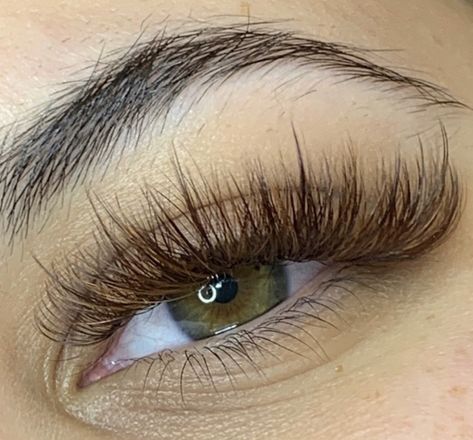 Brown Eyelash Extensions Lashes, Lash Extensions Styles Color, Classic Lashes With Spikes, Brown Cat Eye Lash Extensions, Brown Eyelashes Extensions, Brown Lash Extensions Eyelashes, Eyelash Extensions Styles With Color, Spike Eyelash Extensions, Brown Lashes Extensions