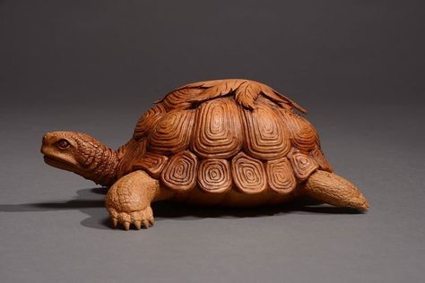 #turtle #woodenfigure Turtle Carving, Wooden Turtle, Driftwood Art Sculpture, Wood Carving Art Sculpture, Ceramic Turtle, Turtle Sculpture, Ceramic Frogs, Wood Owls, Dremel Wood Carving