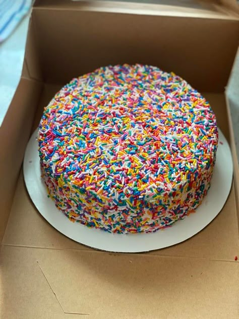 Birthday Cake Rainbow Sprinkles, Funfetti Sprinkle Cake, All Sprinkle Cake, Sprinkle Cake Aesthetic, Rainbow Cake Sprinkles, Colorful Sprinkle Cake, Green Sprinkle Cake, Rainbow Sprinkles Aesthetic, Sprinkle Rainbow Cake