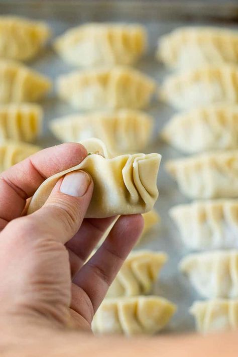 Dumpling Appetizer, Potstickers Recipe, Pork Mushroom, Homemade Egg Rolls, Dumpling Wrappers, Pot Stickers, Pork Dinner, Wonton Wrappers, Chili Garlic Sauce