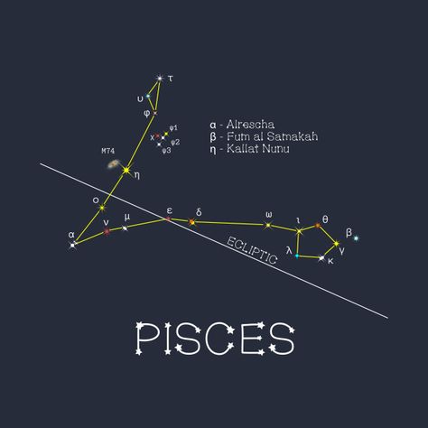 Check out this awesome 'Zodiac+Constellation+PISCES' design on @TeePublic! Pices Constellation, Pices Constellation Art, Pieces Zodiac Constellation, Pisces Constellation Tattoo Stars, Pisces Design, Star Names, Pisces Star Constellation, Zodiac Sign Designs, Space Shuttle Challenger