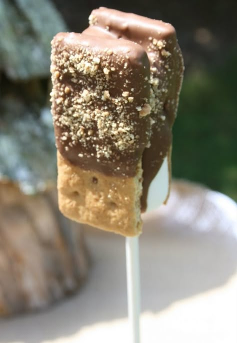 Smores Pops, Camping Cakes, S'mores, Camping Party, Snacks Für Party, Köstliche Desserts, On A Stick, Camping Food, Trifle