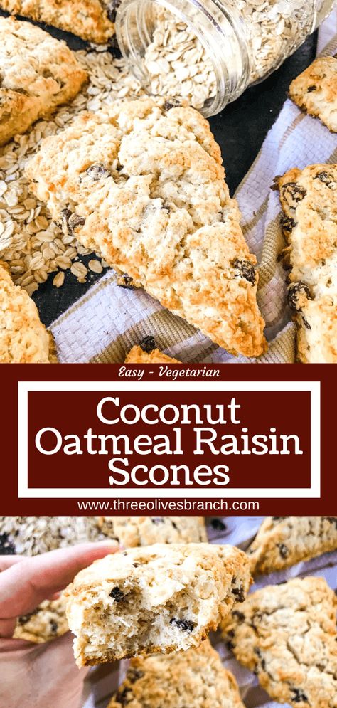 Coconut Oatmeal Raisin Scones Chuckwagon Cooking, Oatmeal Scones, Raisin Scones, Oat Scones, Coconut Buns, Oatmeal Muffin Recipes, Coconut Oatmeal, Yeast Bread Recipes, Oat Cakes