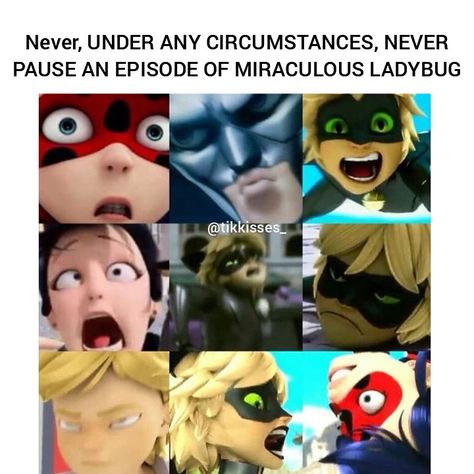 Miraculous ladybug memes Miraculous Ladybug Out Of Context, Miraculous Ladybug All Miraculouses, Miraculous Out Of Context, Miraculous Ladybug Funny Pictures, Miraculous Ladybug Memes Hilarious, Miraculous Memes Funny, Funny Miraculous Ladybug, Miraculous Meme, Mlb Funny