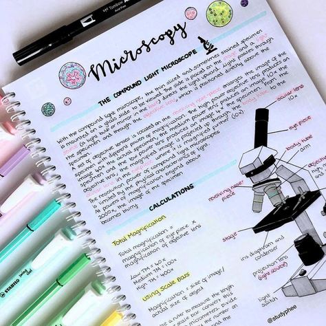 microscopy study notes with super cute diagram  ★·.·´¯`·.·★ follow @motivation2study for daily inspiration Notes Inspo, Notes Study, College Notes, Aesthetic Notes, Bullet Journal Notes, School Organization Notes, Science Notes, Biology Notes, Study Organization