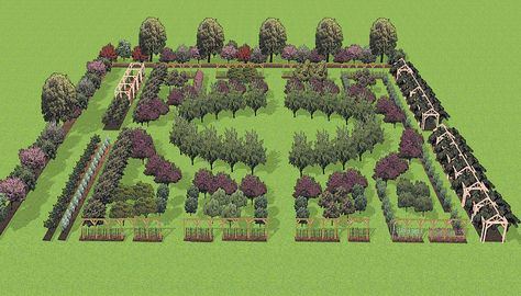 Author’s rendering of the Fruit Garden. I like this shape. Could change fruits and other plants. Add in plants that deter pests, nut trees, bee keep, black berries, blue berries, strawberries etc. But I LOVE the general shape. Fruit Trees Garden Design, Fruit Garden Design, Fruit Garden Layout, Tree Garden Design, Fruit Tree Garden, Orchard Design, Orchard Garden, Berry Garden, Garden Fruit