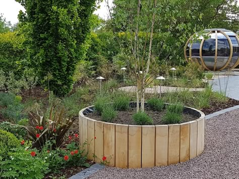 garden design detail showing a circular raised bed built from vertical green oak boards, planted with lavender and a multi-stem silver birch Raised Tree Bed, Round Garden Bed, Rounded Bed, Raised Planters Ideas, Circle Raised Garden Beds, Circular Garden Bed, Curved Garden Design, Diy Round Raised Garden Bed, Round Raised Beds