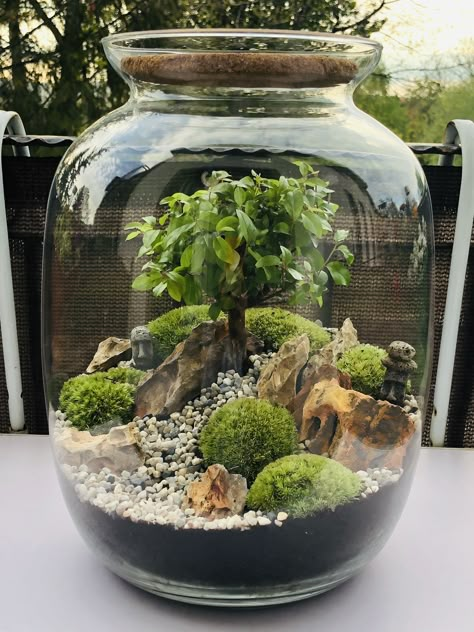 Self Sustaining Terrarium Ecosystem, Terrarium Ideas Unique, Self Sustaining Terrarium, Terrarium House, Best Terrarium Plants, Closed Terrarium Plants, Terrarium Scene, Plants Home Decor, Diy Succulent Terrarium