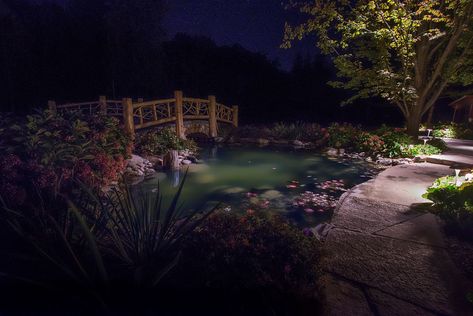 Pond At Night Aesthetic, Secret Garden Aesthetic Night, Garden Night Aesthetic, Night Garden Aesthetic, Wizard Vibes, Night Time Garden, Pond At Night, Pond Lighting, Moody Garden