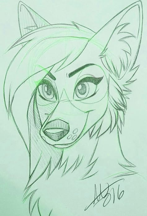 This is amazing :oo (not my art..) Anime Wolf Drawing, Wolf Sketch, Wolf Drawing, Anime Wolf, Drawing Images, Wolf Art, Arte Animal, Dog Drawing, Drawing Base