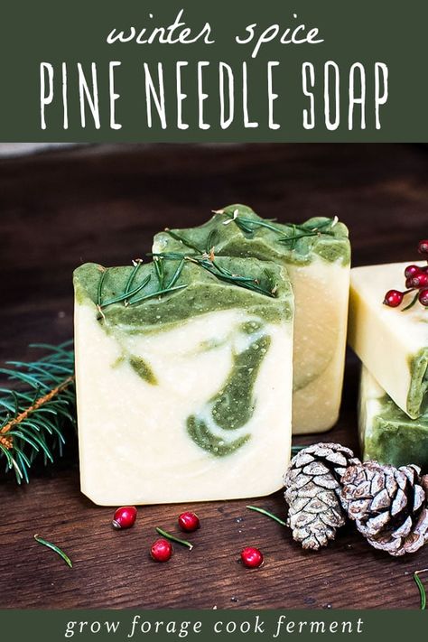 Learn how to make natural Holiday Spice Pine Soap with wild foraged conifer needles to moisturize dry winter skin. With an amazing sweet-spicy evergreen scent it will be your favorite bar! It also makes the perfect DIY herbal Christmas gift! Cranberry Cold Process Soap, Homemade Pine Tar Soap, Soap Making Christmas, Salt Bar Soap Recipe, Pine Soap Recipe, Diy Dr Squatch Soap Recipe, Winter Soap Scents, Herbal Soap Recipes, Winter Soap Ideas