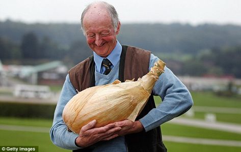 largest zuchinni in the world | ... : Gardener Peter Glazebrook cradles his world record breaking onion Tomato Problems, Giant Vegetable, Growing Onions, Runner Beans, Organic Vegetable Garden, Guinness World Records, Organic Gardening Tips, World Record, Growing Tomatoes