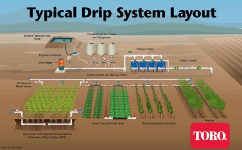 Drip Irrigation System Design, Sprinkler System Design, Irrigation System Design, Garden Watering System, Irrigation Controller, Digital Calligraphy, Sprinkler Irrigation, Drip System, Drip Irrigation System