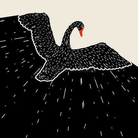 Background with flying black swan. Hand drawn bird stock illustration Swans Art, Black Swan, Shop Art, 로고 디자인, New Wall, Animal Illustration, Bird Art, Art Sketchbook, Linocut